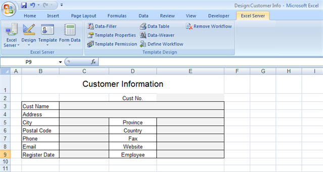 What is Excel Server look like